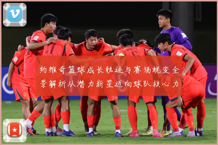 约维奇篮球成长轨迹与赛场蜕变全景解析从潜力新星迈向球队核心力量之路